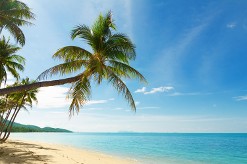 Travel Arrangements to Hawaii - Vacation Packages